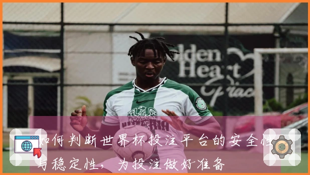 如何判断世界杯投注平台的安全性与稳定性，为投注做好准备