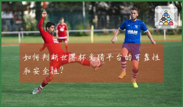如何判断世界杯竞猜平台的可靠性和安全性？