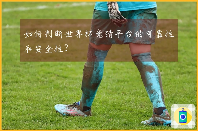 如何判断世界杯竞猜平台的可靠性和安全性？