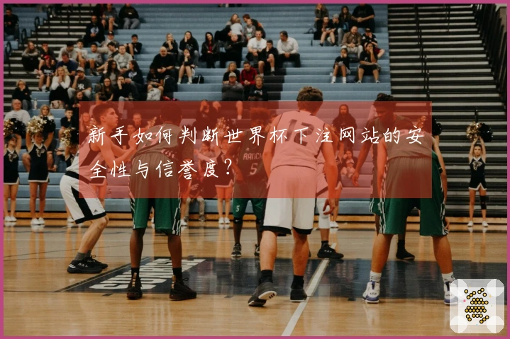 新手如何判断世界杯下注网站的安全性与信誉度？