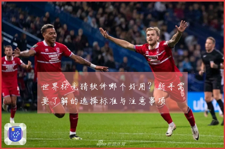 世界杯竞猜软件哪个好用？新手需要了解的选择标准与注意事项