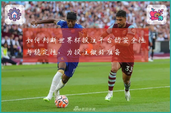 如何判断世界杯投注平台的安全性与稳定性，为投注做好准备