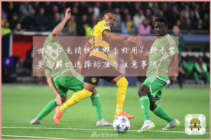 世界杯竞猜软件哪个好用？新手需要了解的选择标准与注意事项